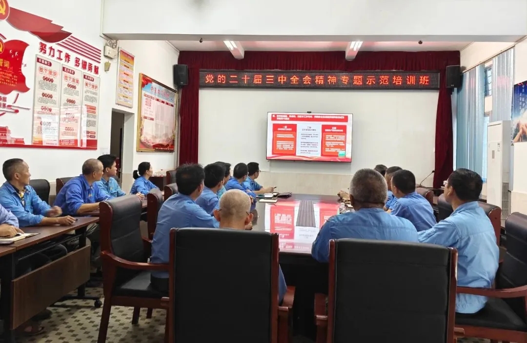 3377体育官网组织观看学习贯彻党的二十届三中全会精神专题示范班课堂视频直播